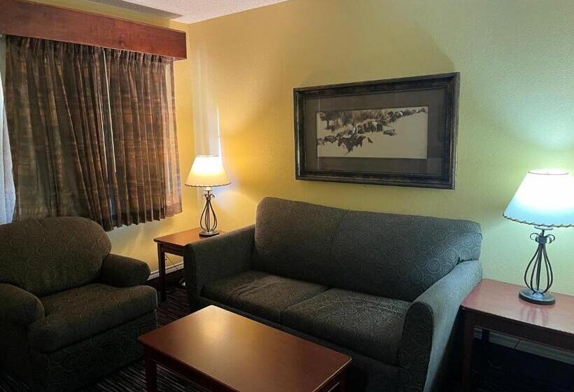 Люкс Адаптированный для Инвалидов, Red Roof Inn & Suites Sulphur Springs