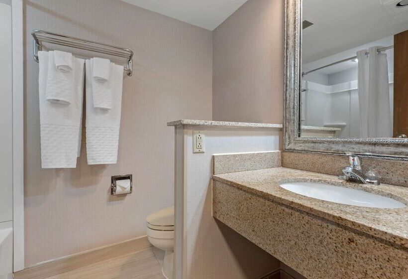 Номер Стандарт, Best Western University Inn