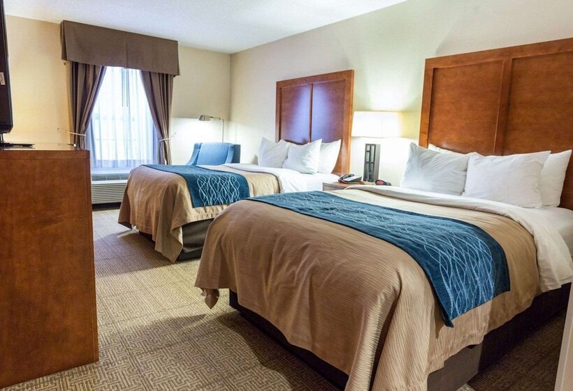 Номер Стандарт 2 Двуспальные Кровати, Comfort Inn Civic Center