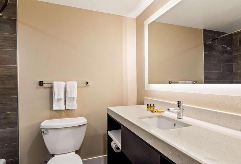 Quarto Estandar, Best Western Plus Greenville I385 Inn & Suites