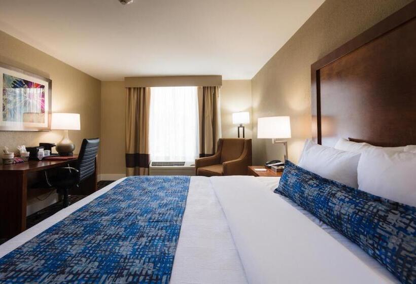 스탠다드 룸 킹사이즈 침대, Best Western Plus Greenville I385 Inn & Suites