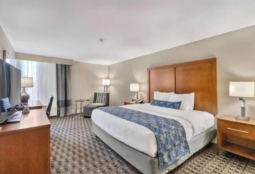 스탠다드 룸 킹사이즈 침대, Best Western Plus Greenville I385 Inn & Suites