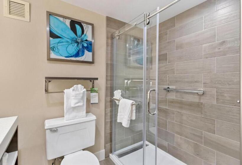 Suíte Cama King, Best Western Plus Greenville I385 Inn & Suites