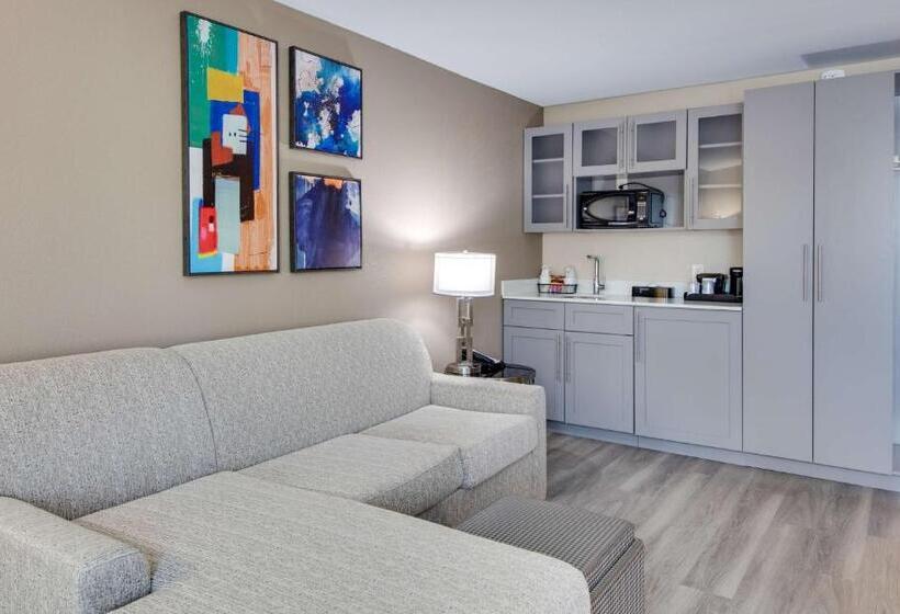 스위트, Best Western Plus Greenville I385 Inn & Suites