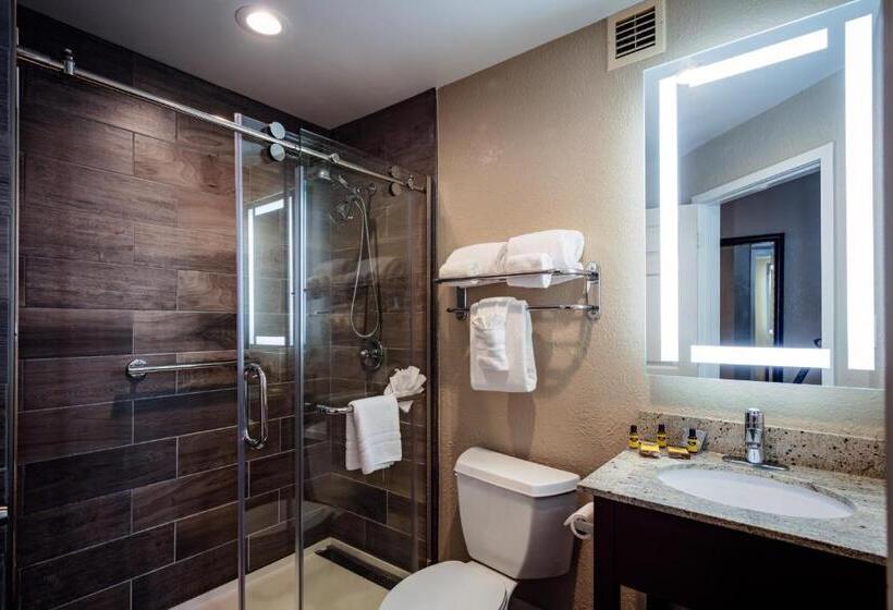 장애인을 위한 스탠다드 룸, Best Western Plus Greenville I385 Inn & Suites
