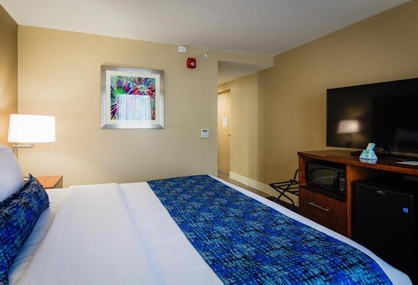 장애인을 위한 킹사이즈 침대 스탠다드 룸, Best Western Plus Greenville I385 Inn & Suites