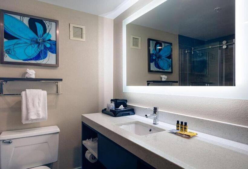 스위트 킹사이즈 침대, Best Western Plus Greenville I385 Inn & Suites