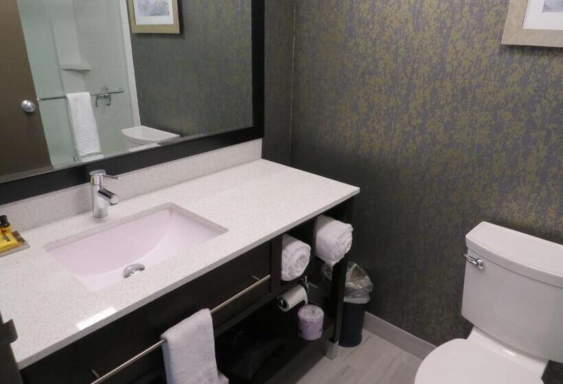 带大床的标准间, Best Western Plus Landmark Inn