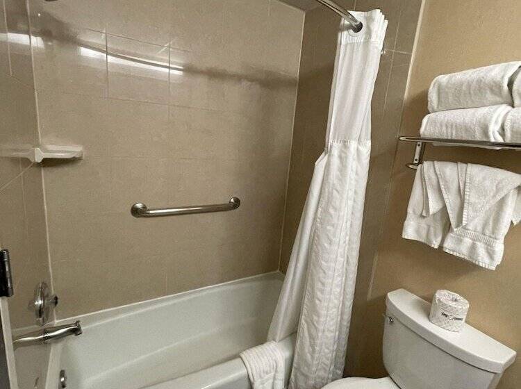 스탠다드 룸 더블 침대 2개, Comfort Inn Ballston