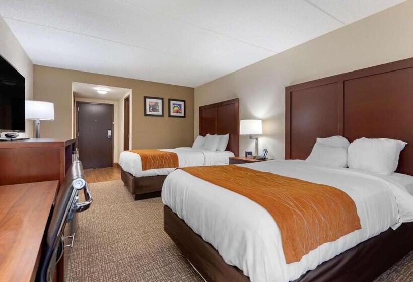 Номер Стандарт 2 Двуспальные Кровати, Comfort Inn Binghamton I81