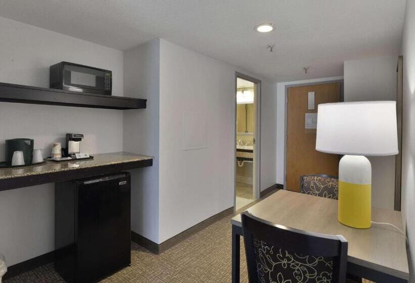 Mini Suite, Comfort Inn Gold Coast