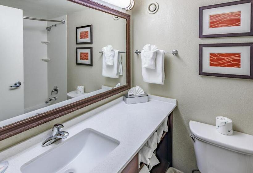 Стандартный Номер Кровать Кинг, Comfort Inn & Suites