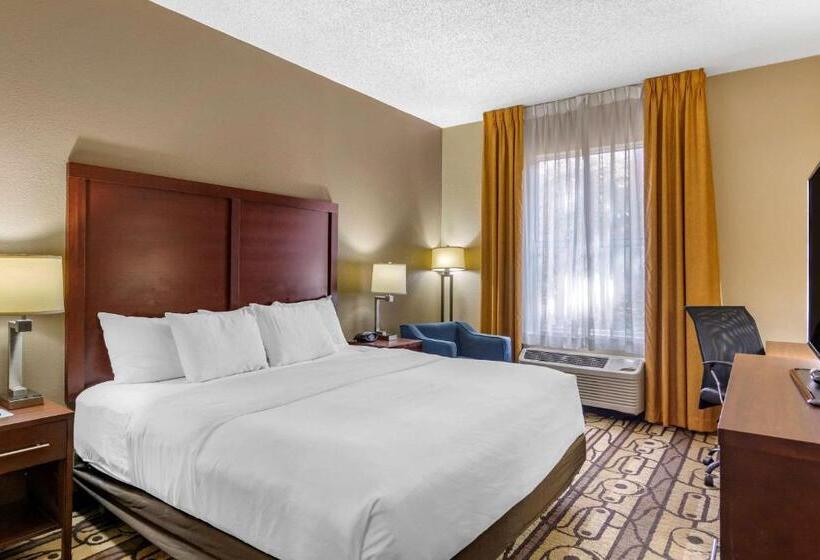 Стандартный Номер Кровать Кинг, Comfort Inn & Suites