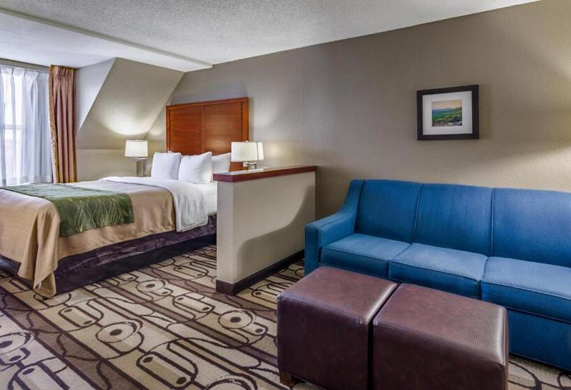 Номер Стандарт, Comfort Inn & Suites
