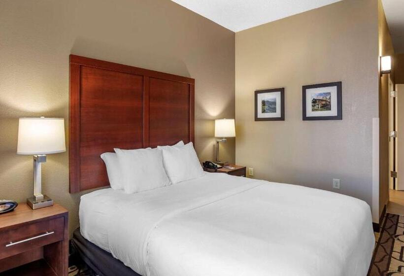 Номер Стандарт Адаптированный для Инвалидов, Comfort Inn & Suites