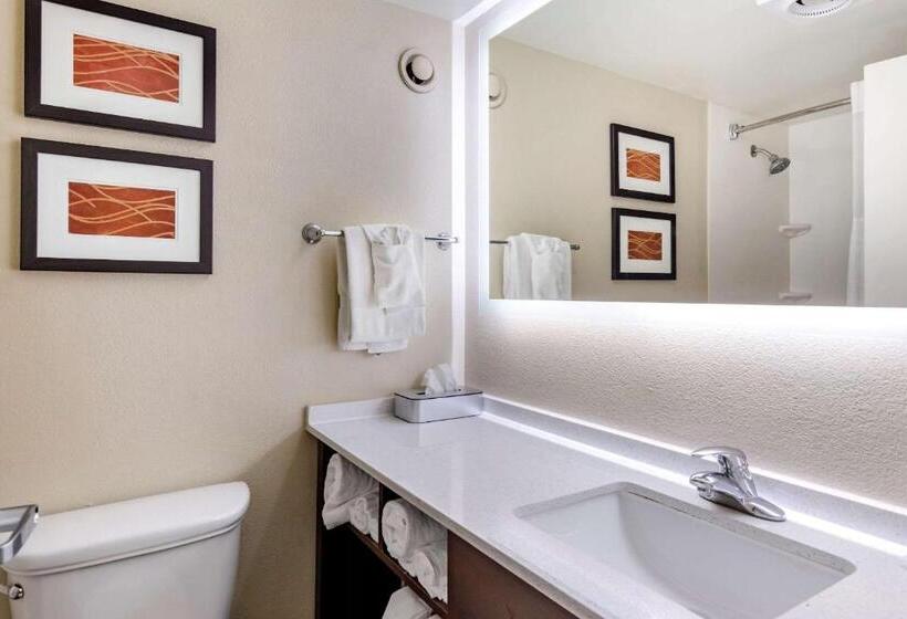 Люкс Кровать Кинг, Comfort Inn & Suites