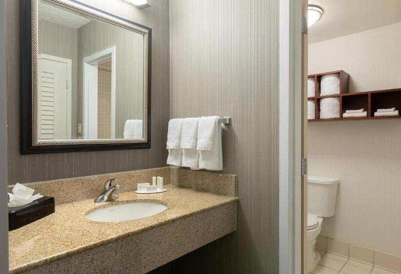 스탠다드 룸 더블 침대 2개, Courtyard By Marriott Atlanta Windy Hill/ballpark