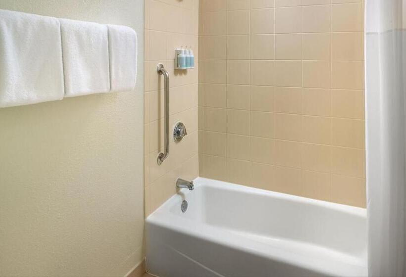 Стандартный Номер Кровать Кинг, Courtyard By Marriott Atlanta Airport South/sullivan Road