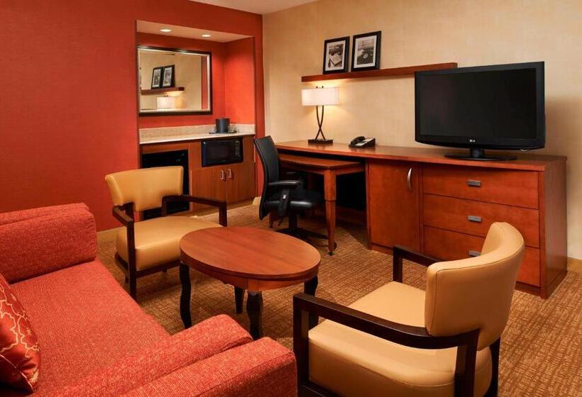 Suite, Courtyard Chicago Arlington Heights/south