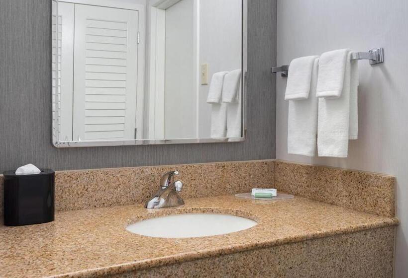 스탠다드 룸 킹사이즈 침대, Courtyard By Marriott New Carrollton Landover