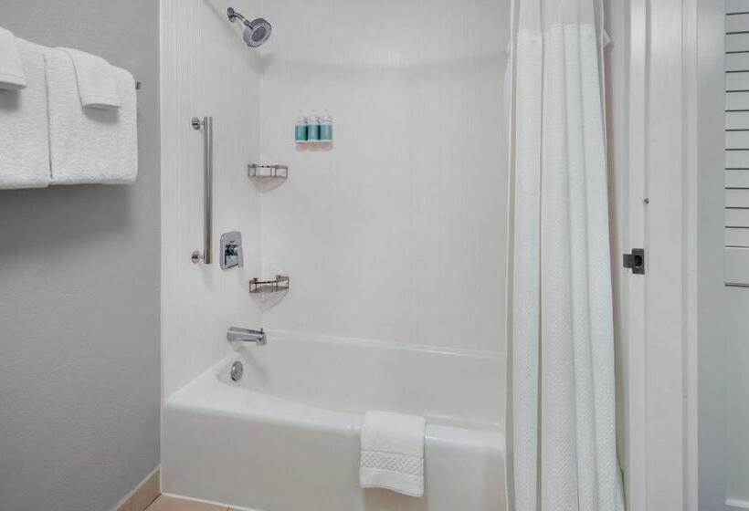 스탠다드 룸, Courtyard By Marriott New Carrollton Landover