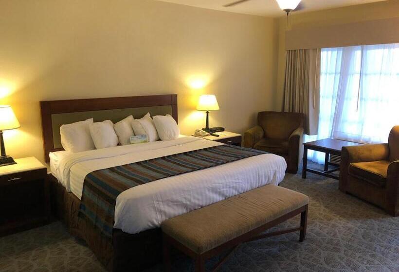 Номер Deluxe Кровать Кинг, Days Inn By Wyndham Natchez