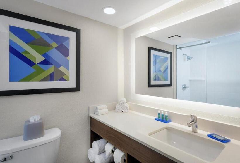 스탠다드 룸 킹사이즈 침대, Holiday Inn Express Exton   Great Valley, An Ihg