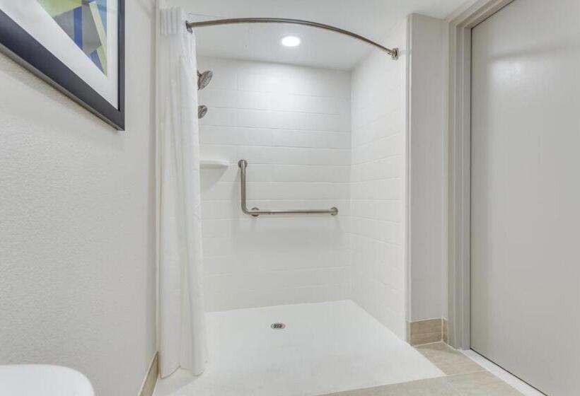 장애인을 위한 킹사이즈 침대 스탠다드 룸, Holiday Inn Express Exton   Great Valley, An Ihg