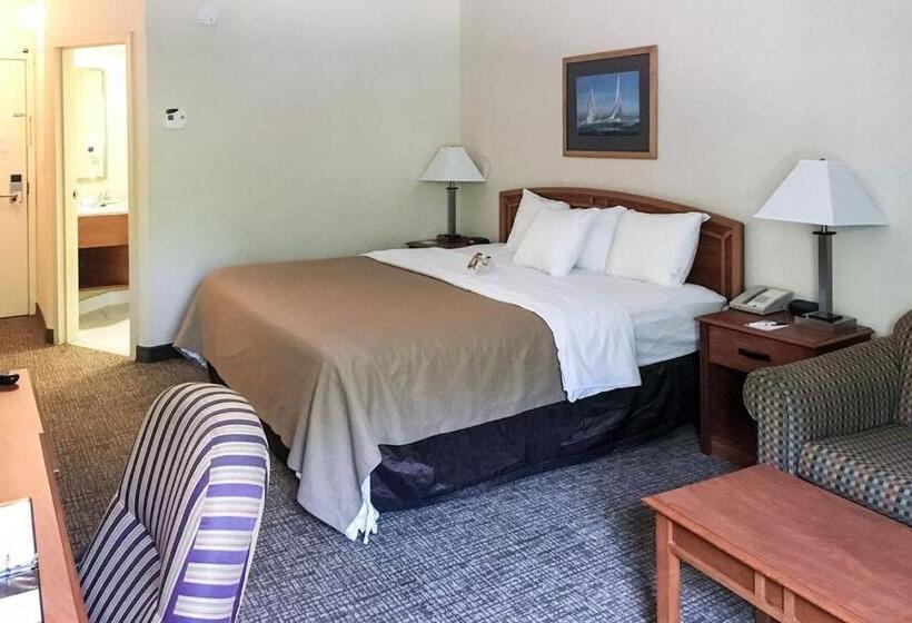 Стандартный Номер Кровать Кинг, Best Western Mystic