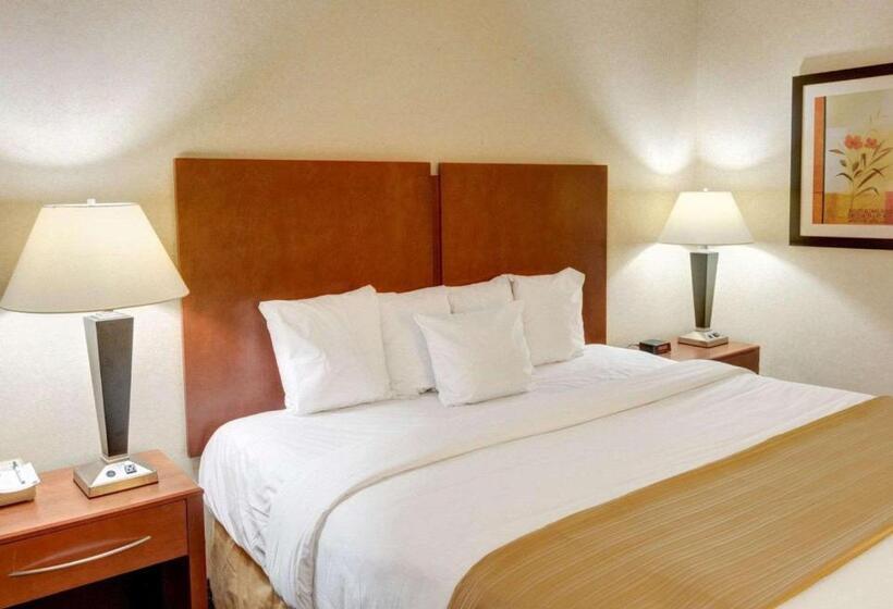 스탠다드 룸 킹사이즈 침대, Quality Inn Jessup   Columbia South Near Fort Meade