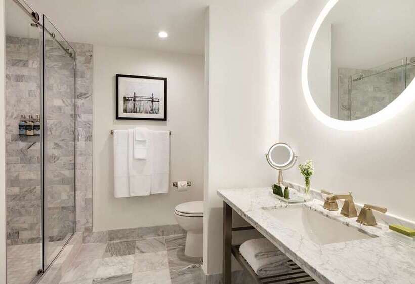 Suite Lit King, Hilton Houston Post Oak By The Galleria