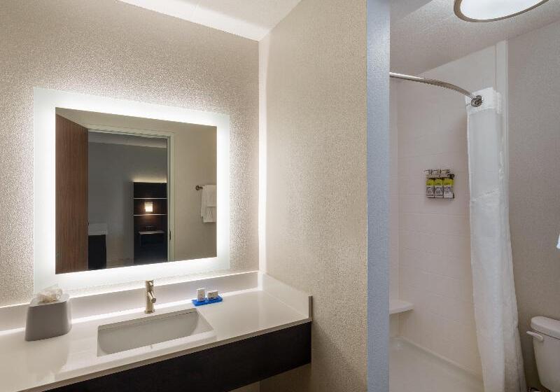 Quarto Estandar Cama King para Deficientes Físicos, Holiday Inn Express   Minneapolis West   Plymouth, An Ihg