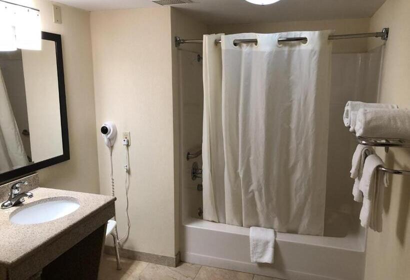 스탠다드 룸 킹사이즈 침대, Mho Inn And Suites