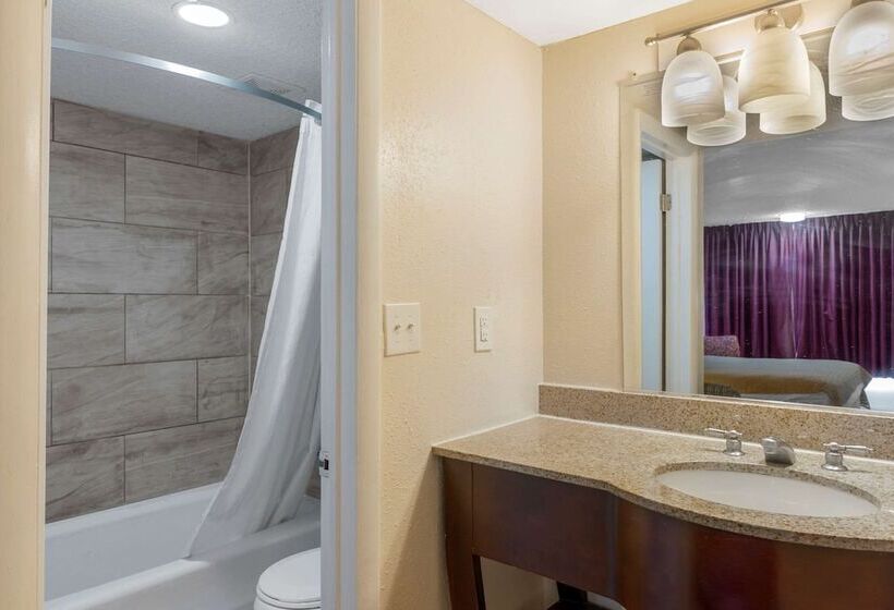 스위트, Rodeway Inn Colonial Heights I95