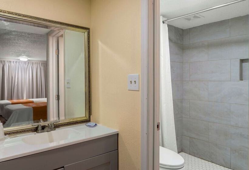 스위트, Rodeway Inn Colonial Heights I95