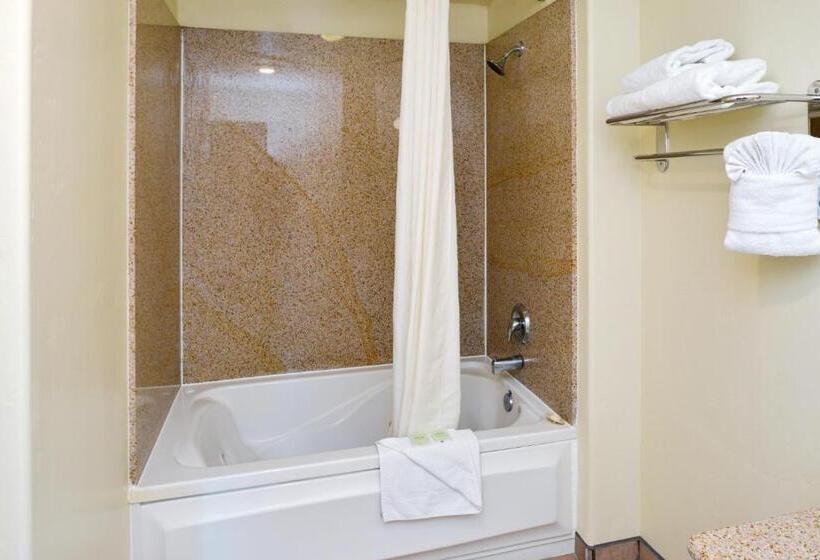 Президентский Люкс, Edgewater Inn And Suites
