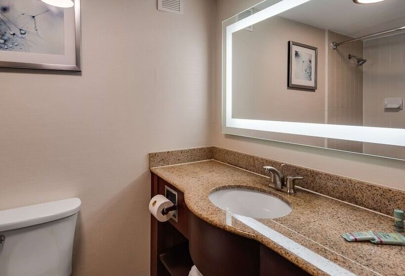 Номер Стандарт 2 Двуспальные Кровати, Best Western Historic Area