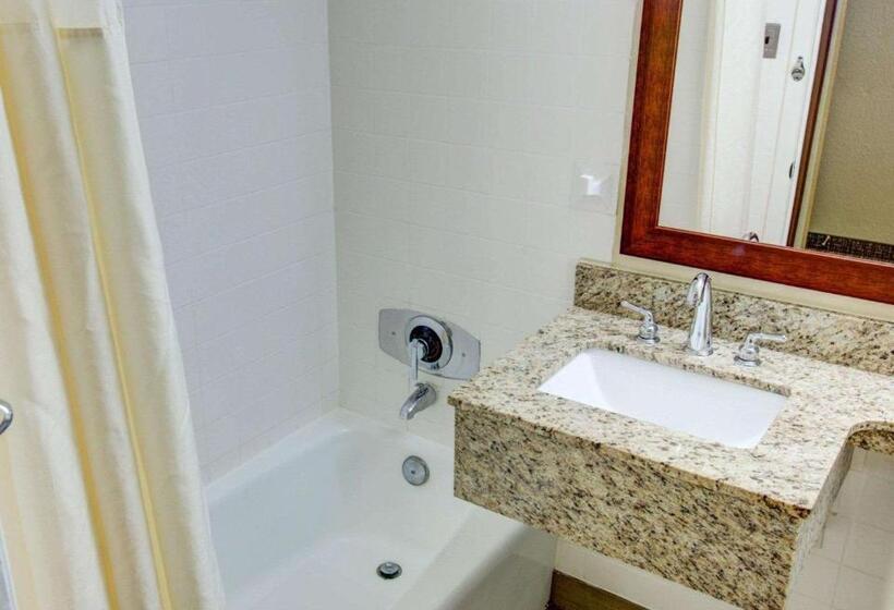 Номер Стандарт 2 Двуспальные Кровати, Comfort Inn Conference Center