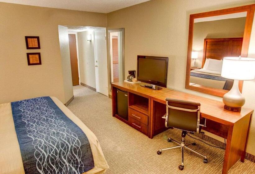 Стандартный Номер Кровать Кинг, Comfort Inn Conference Center