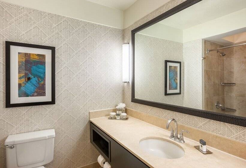 Номер Стандарт Двуспальная Кровать, Doubletree By Hilton Hotel & Suites Houston By The Galleria