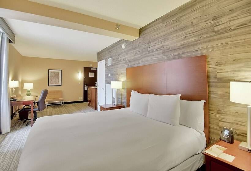 Номер Стандарт Адаптированный для Инвалидов, Doubletree By Hilton Hotel & Suites Houston By The Galleria