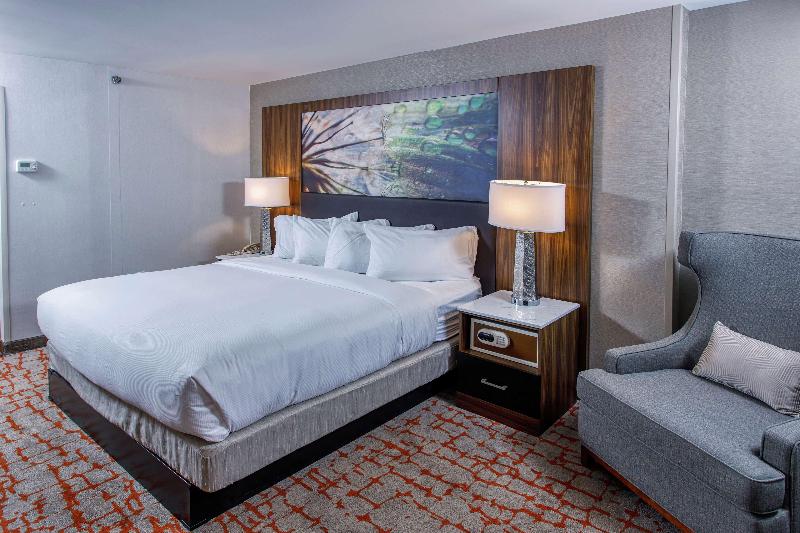 Cameră Standard Pat King Size, Doubletree By Hilton Appleton