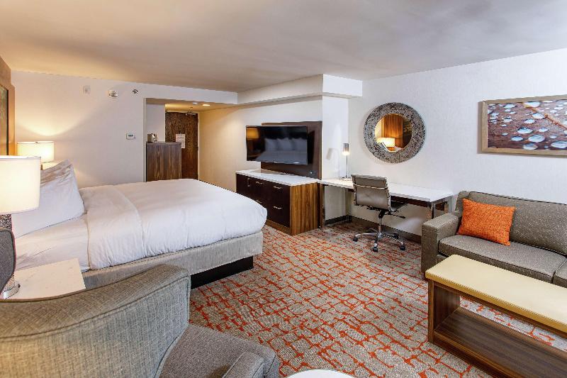 스탠다드 룸 킹사이즈 침대, Doubletree By Hilton Appleton