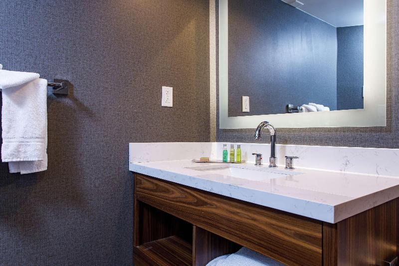 주니어 스위트 킹사이즈 침대, Doubletree By Hilton Appleton