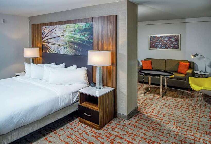 Suite Familiar, Doubletree By Hilton Appleton