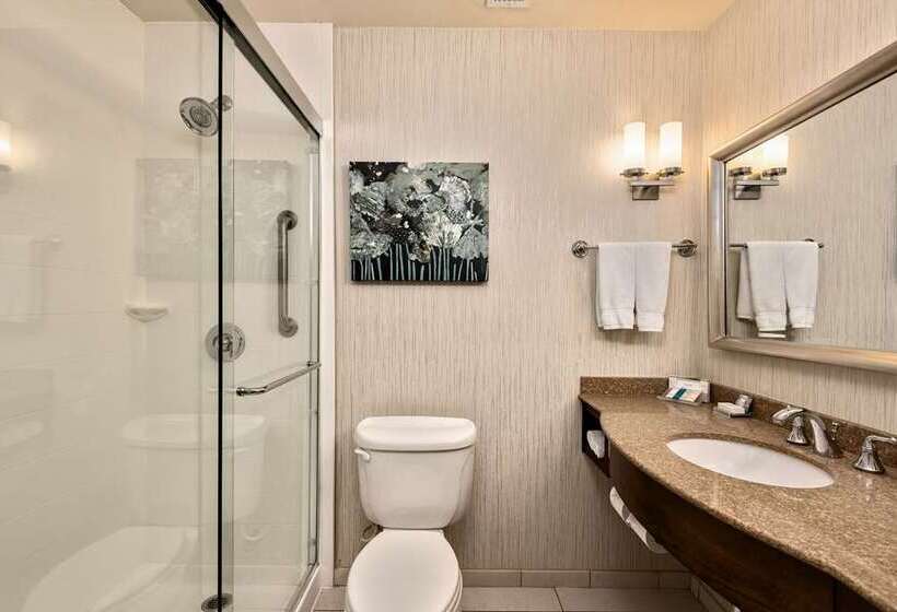 Номер Deluxe Кровать Кинг, Hilton Cincinnati Airport