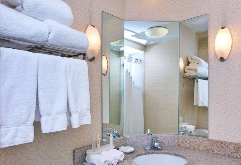 带2个双人床的标准工作室, Holiday Inn Express Memphis Medical Center   Midtown, An Ihg