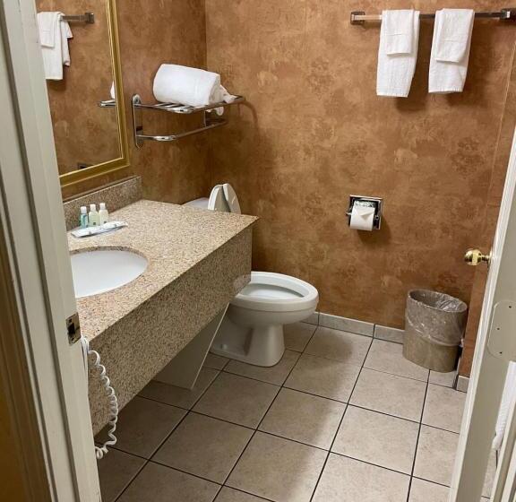 스탠다드 룸, Quality Inn & Suites
