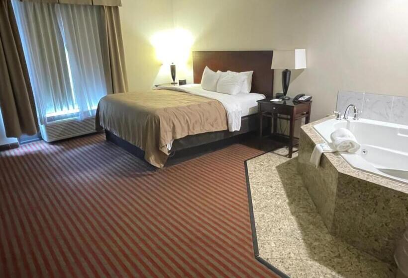 스탠다드 룸 킹사이즈 침대, Quality Inn & Suites