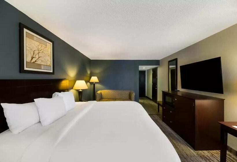 스탠다드 룸 킹사이즈 침대, Clarion Hotel San Angelo Near Convention Center